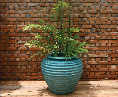 Capture20240410160836