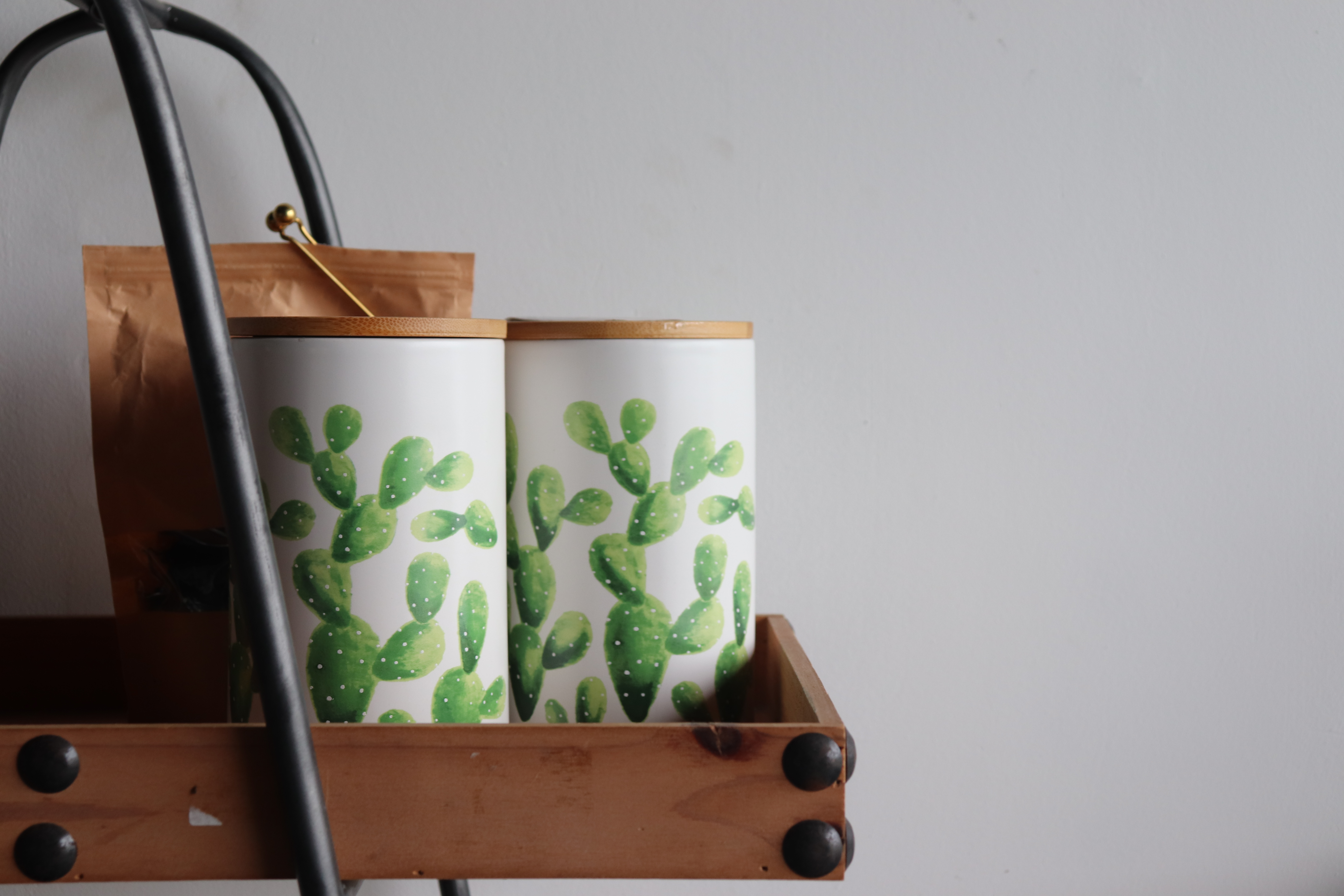 Cactus Jar