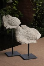 STONE FISH