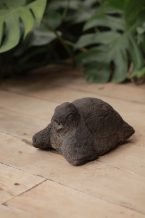 GARDEN TURTLES