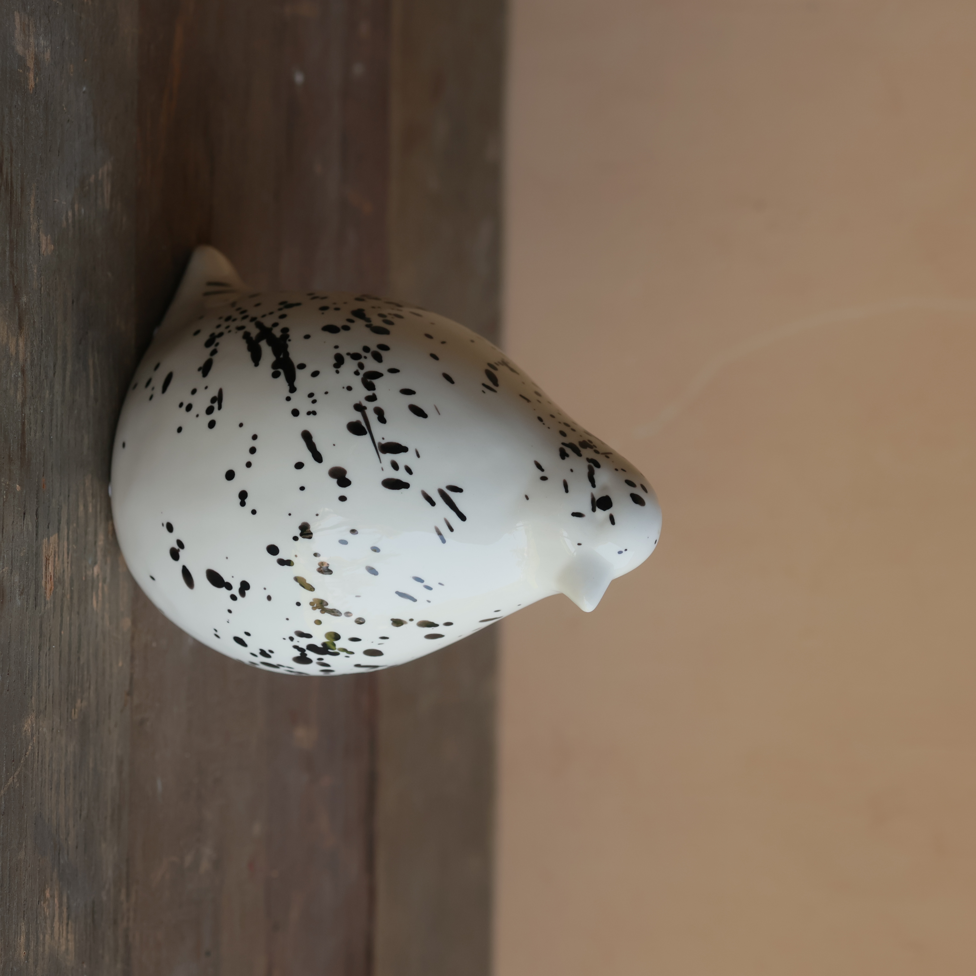 SPLOTCHED BIRD