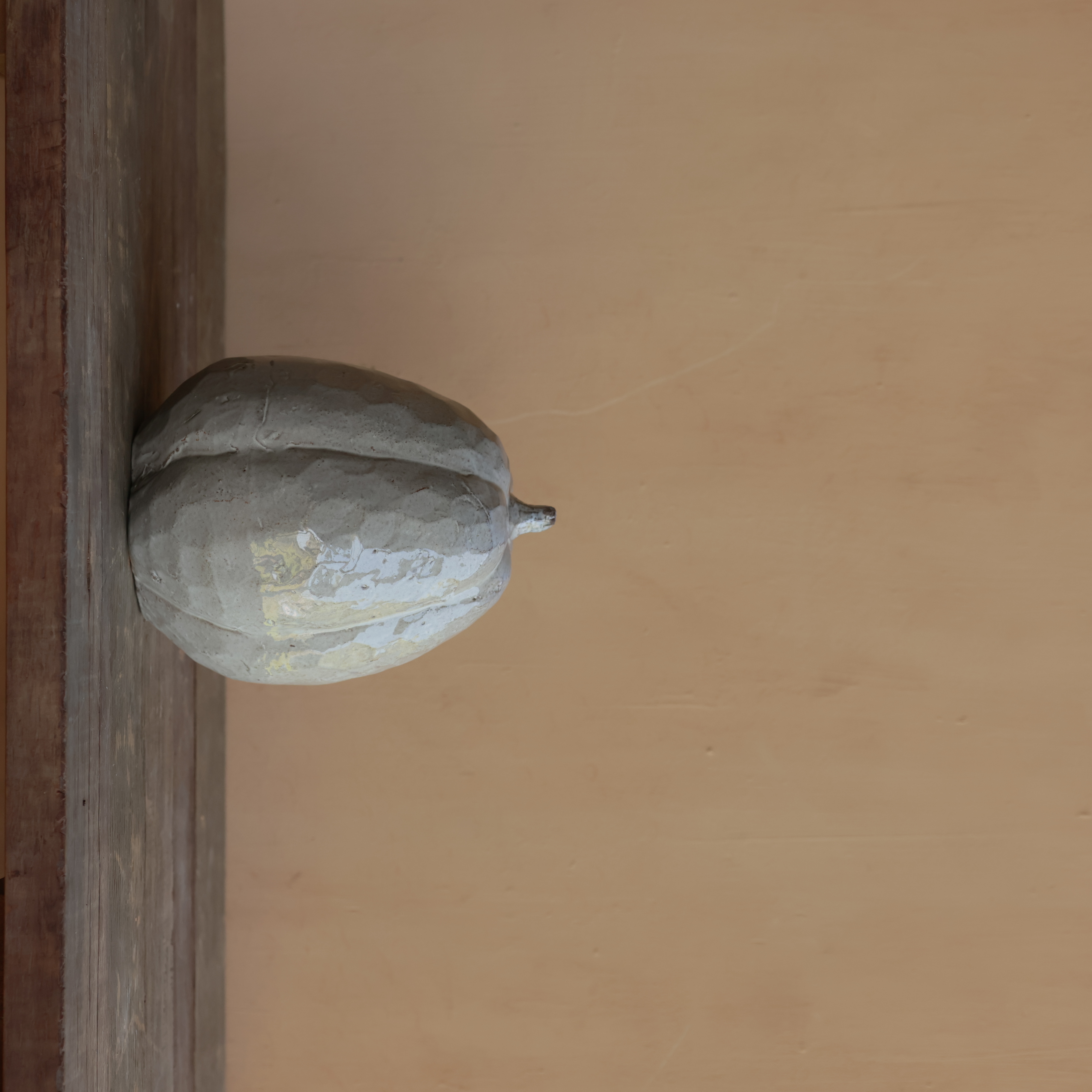 IVORY GOURD