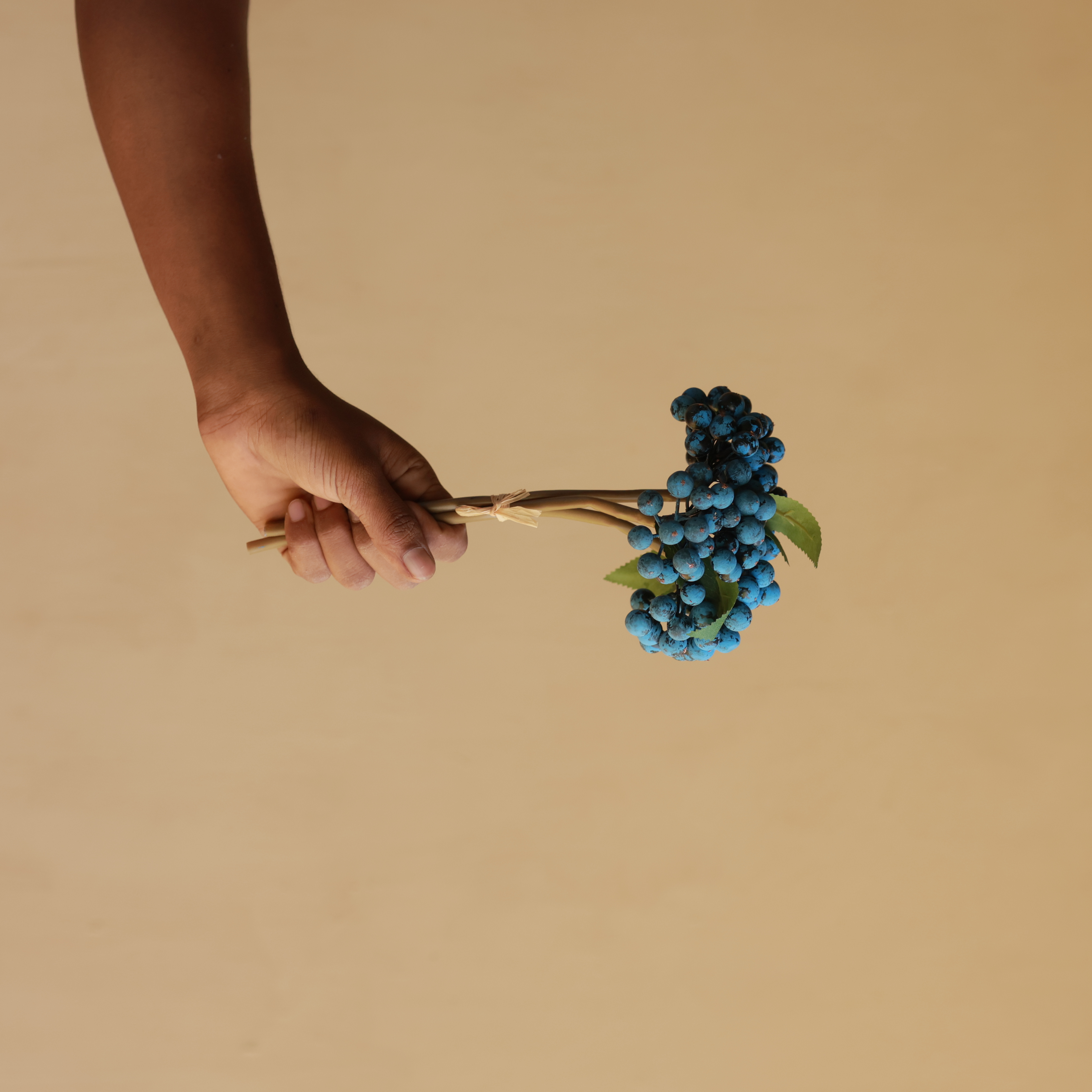 MIDNIGHT BERRY