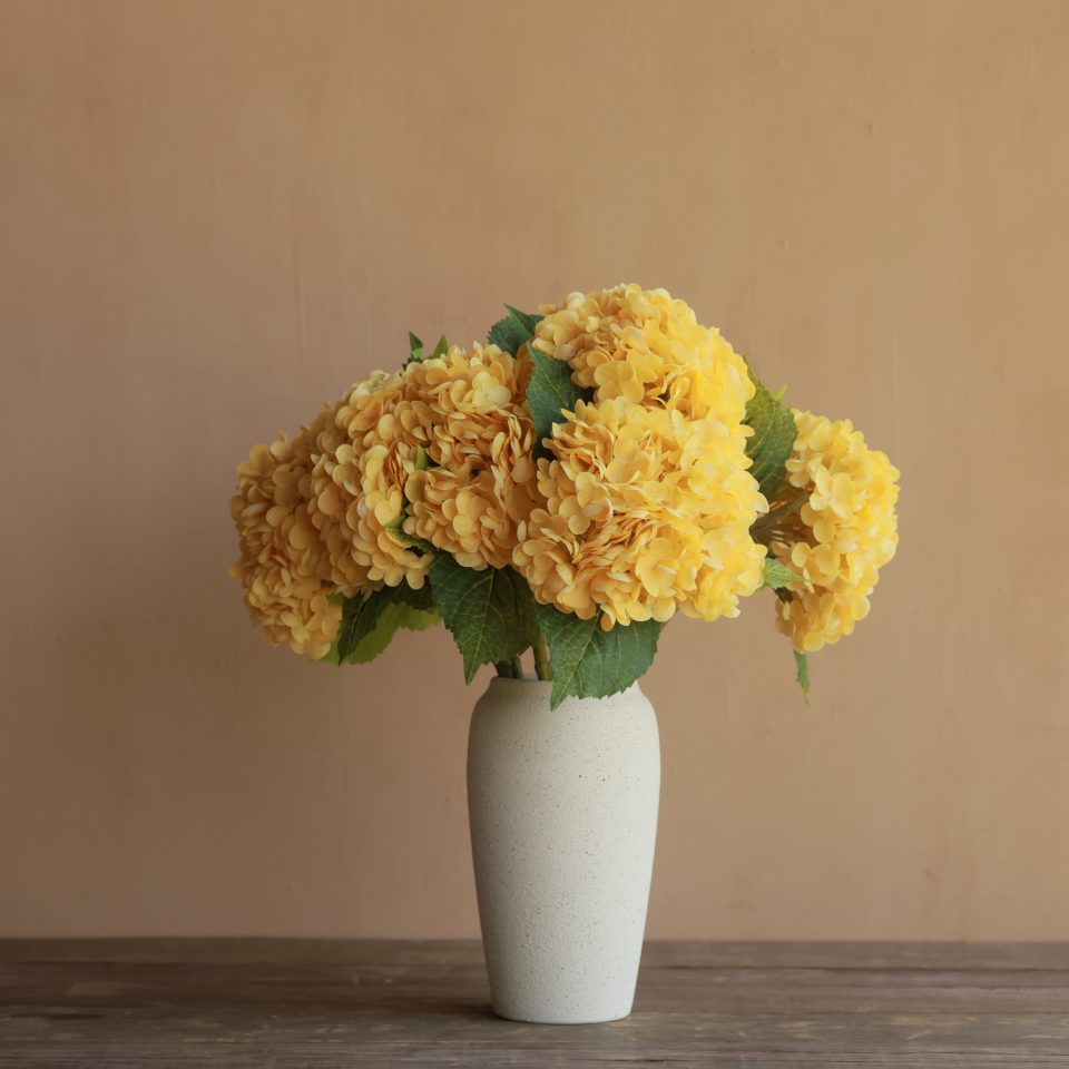 HYDRANGEA YELLOW