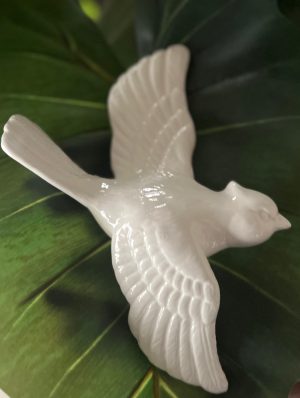 WhatsApp Image 2025-07-16 at 3.25.17 PM