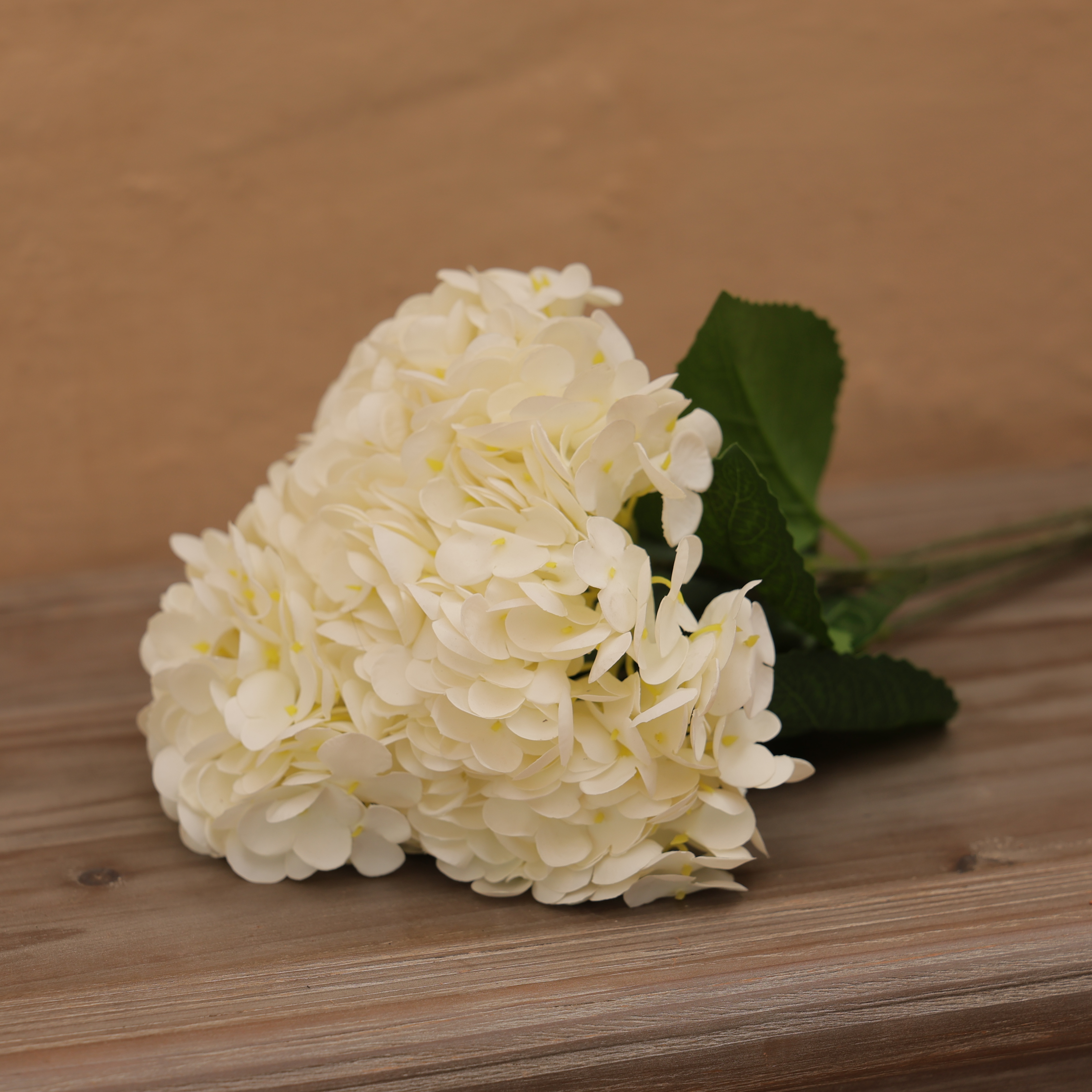 HYDRANGEA STEM - WHITE