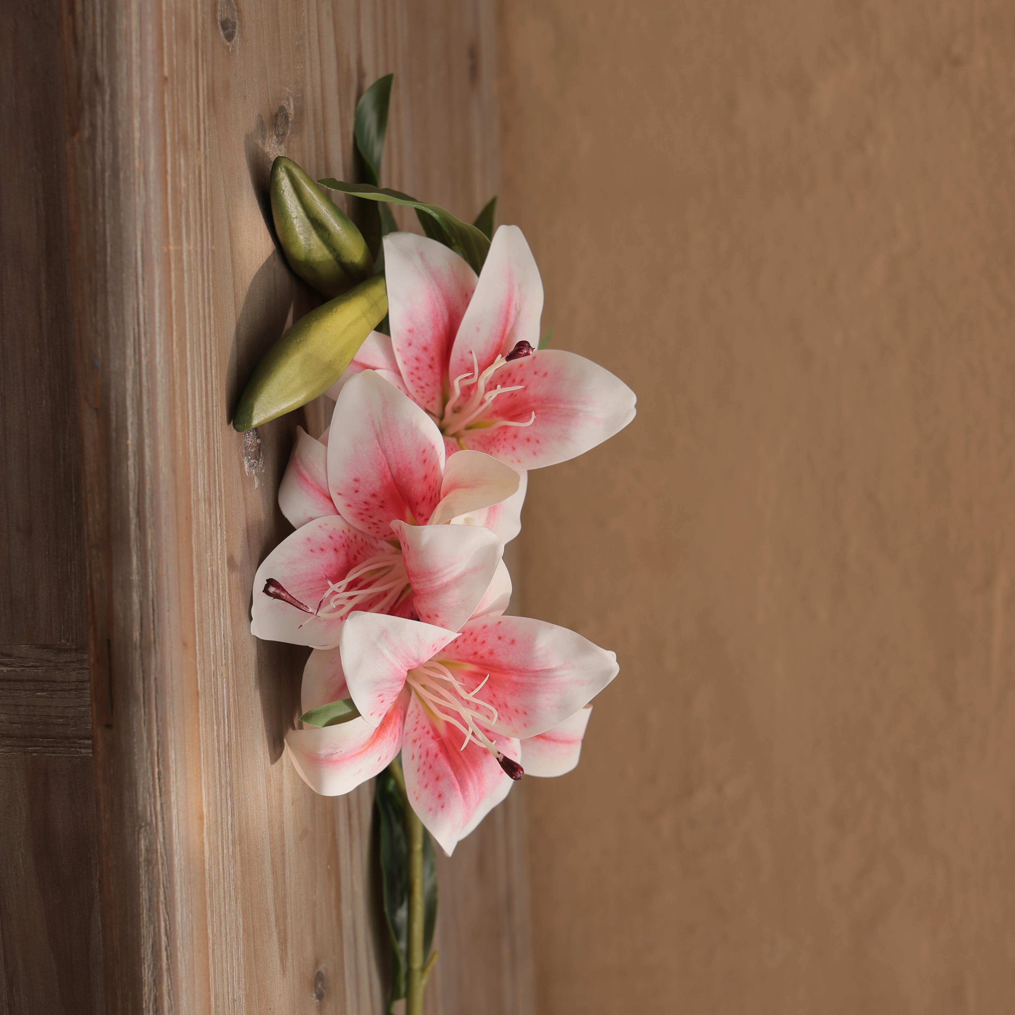 CLASSIC LILLY STEM - PINK WHITE