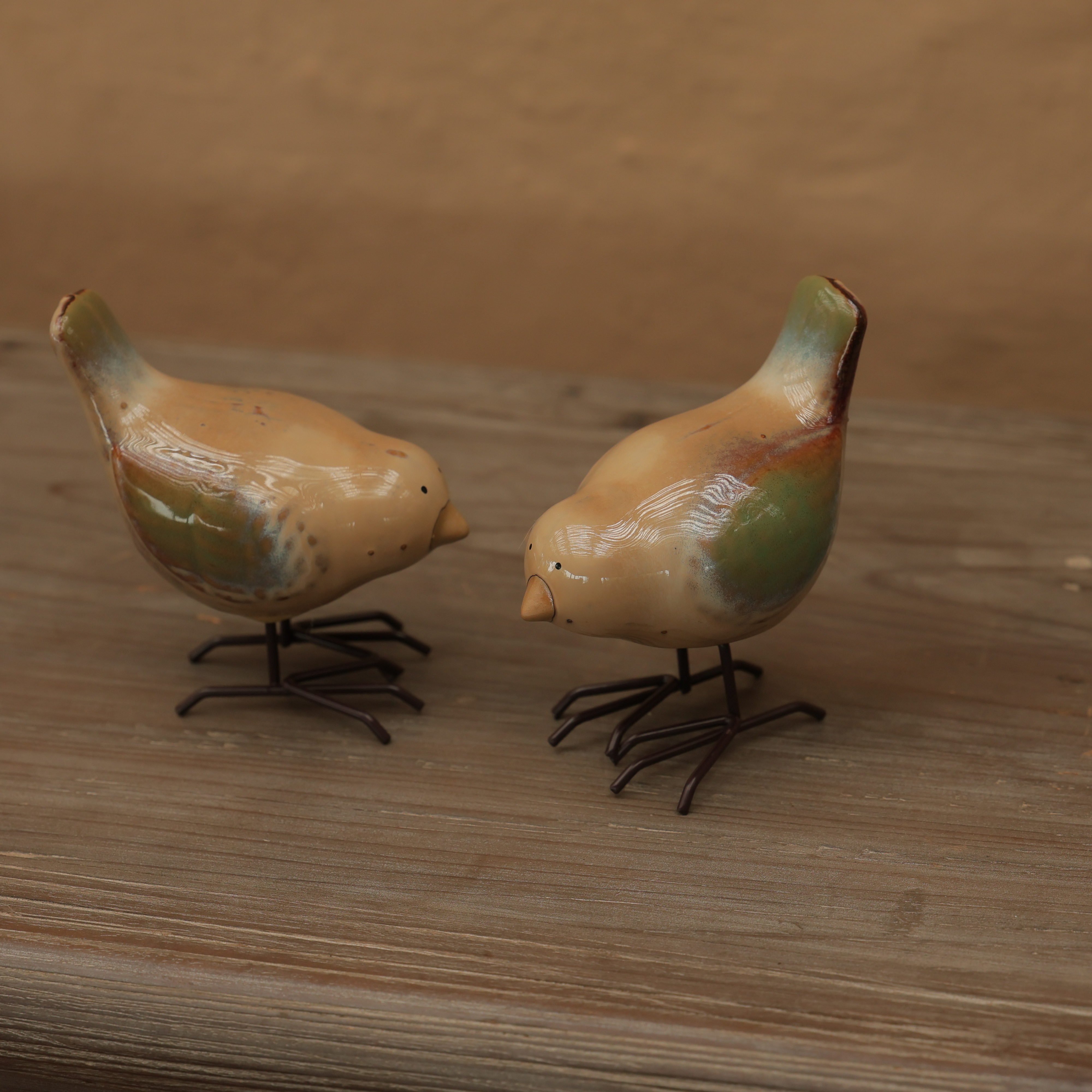 GARDEN SONGBIRDS DUO