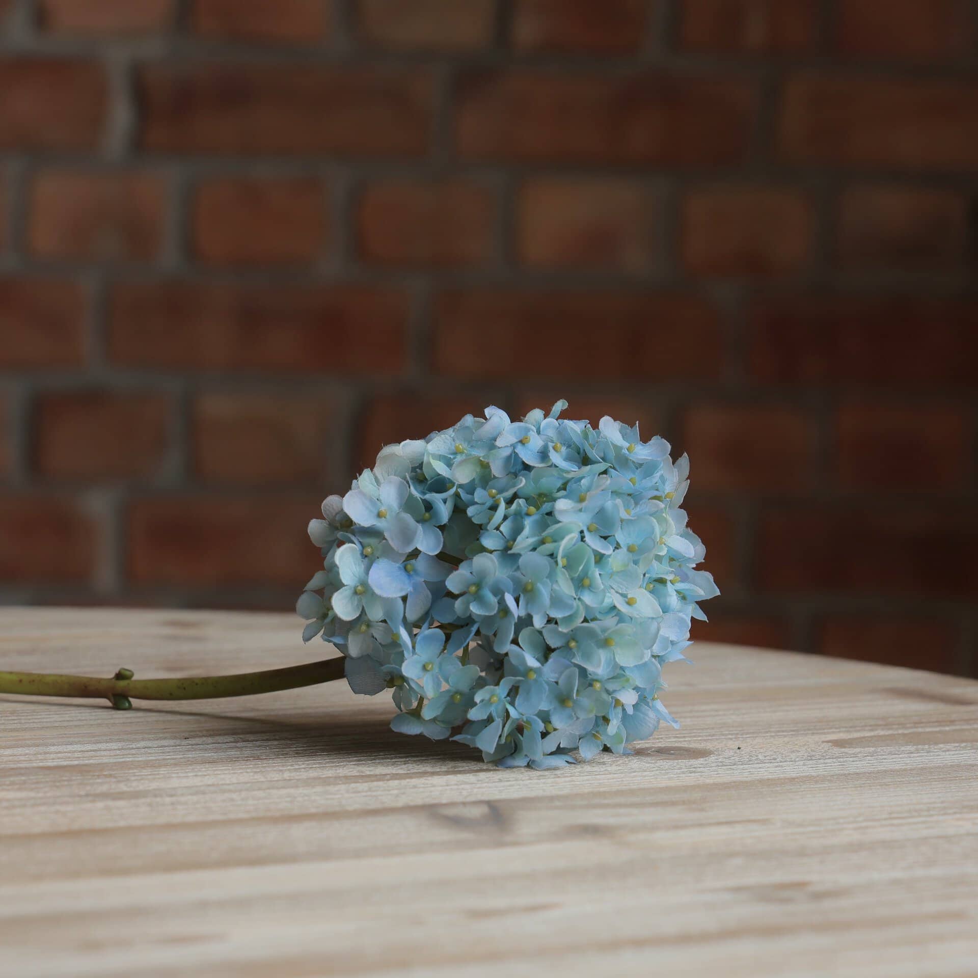 Hydrangea Stem French Blue