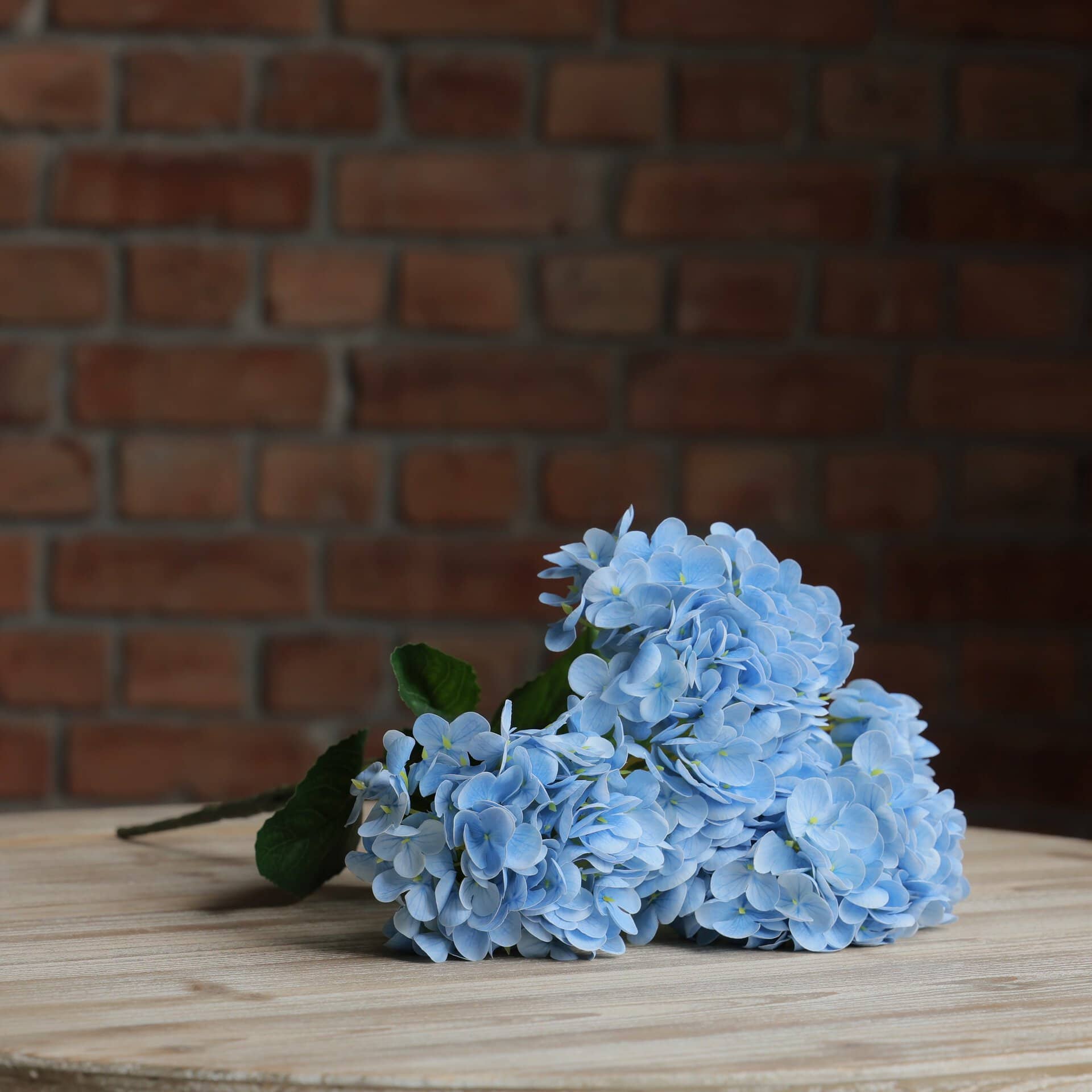 Hydrangea Stem - Blue