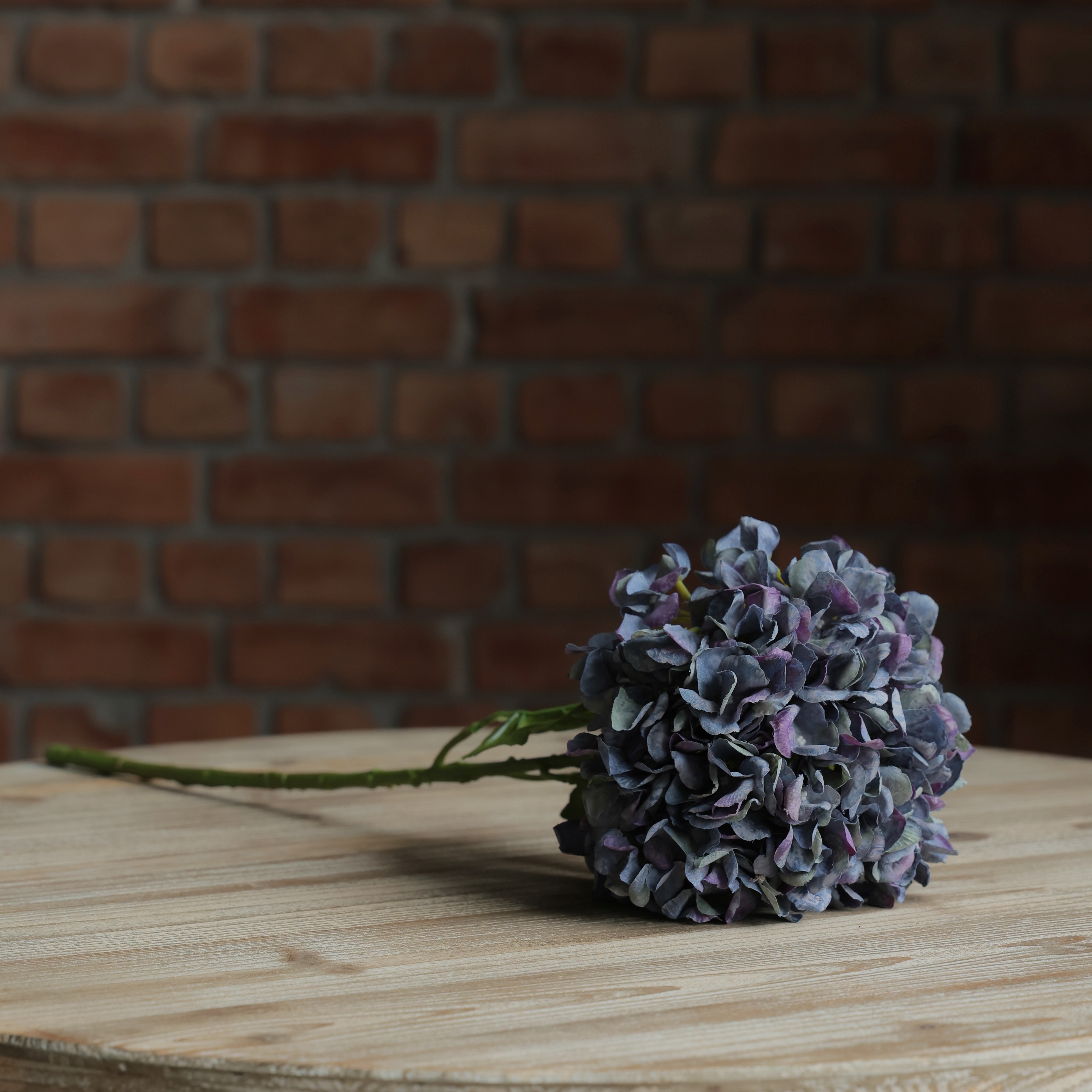 Midnight Blue Hydrangea Stem