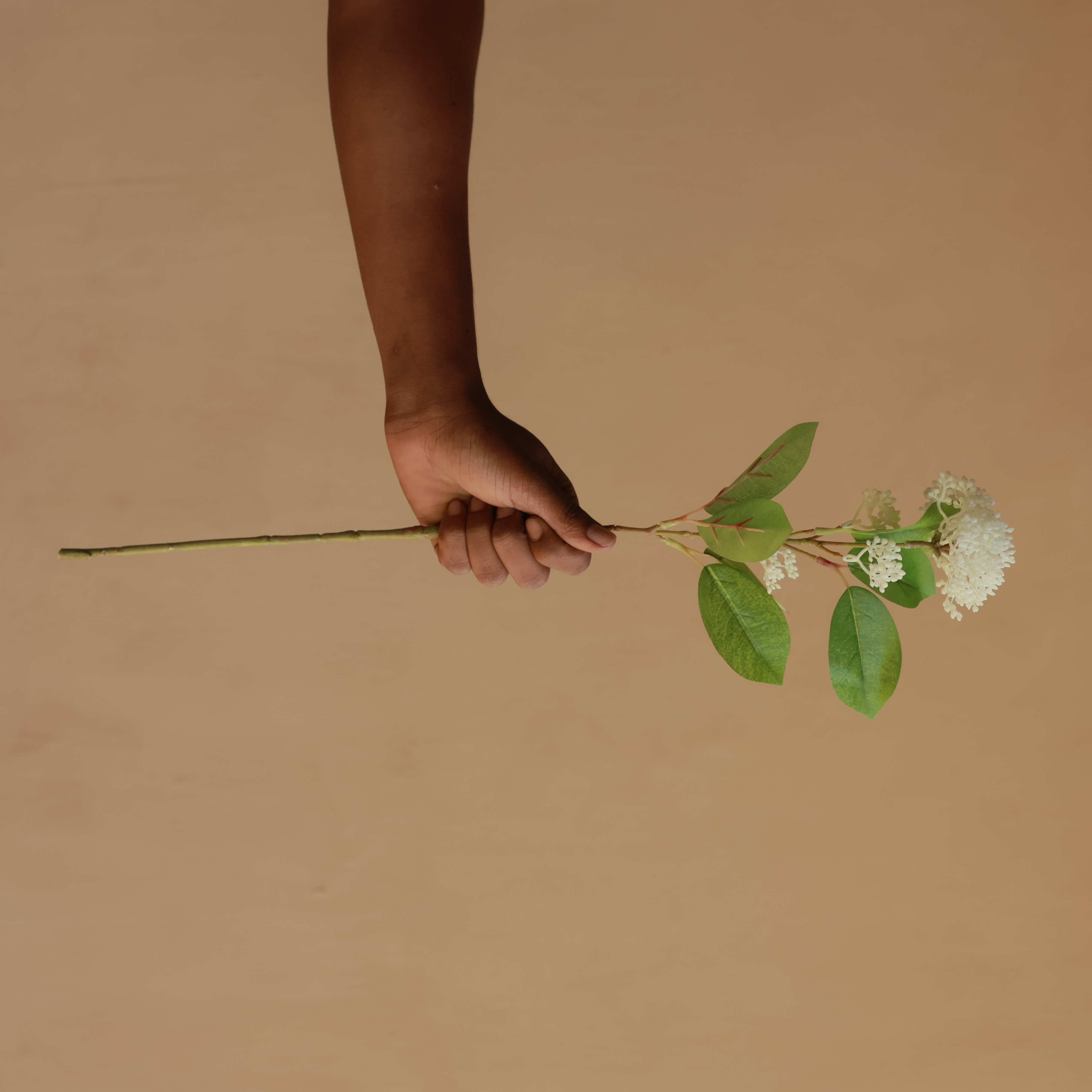 Ivory Cluster Blossom Stem