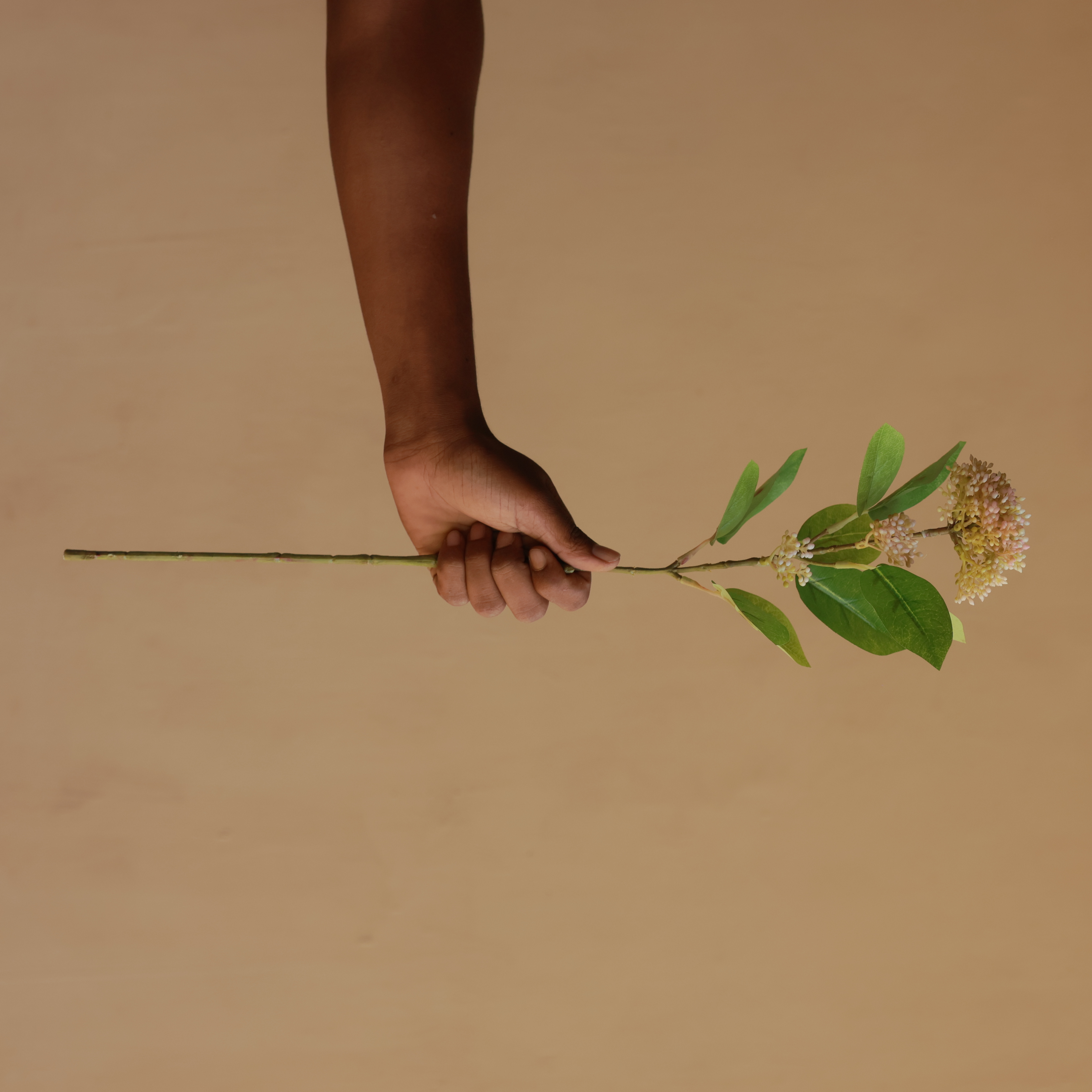 Blush Berry Blossom Stem